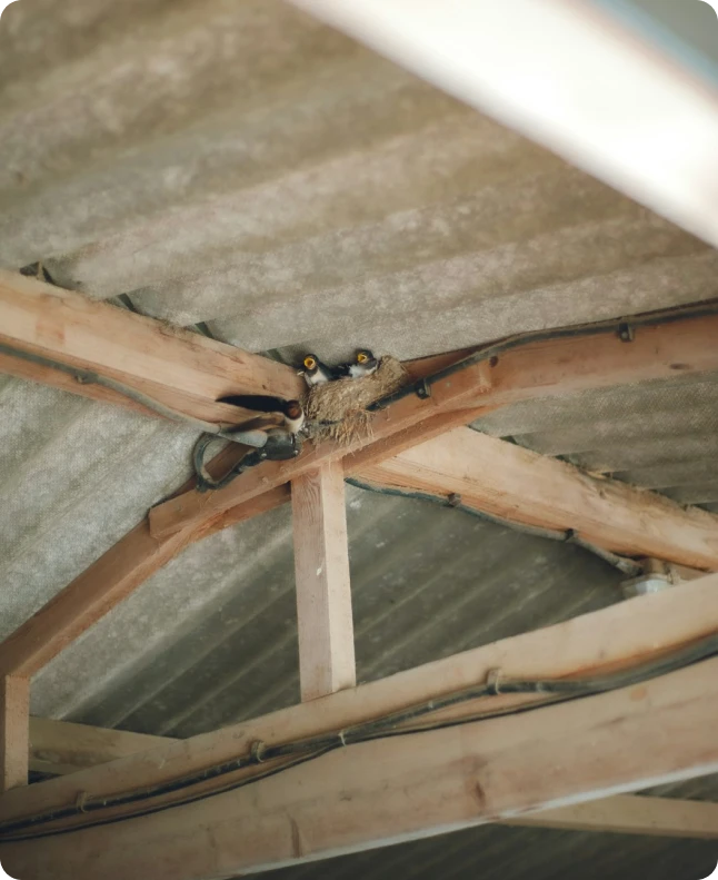 Spray foam insulation contractor at work